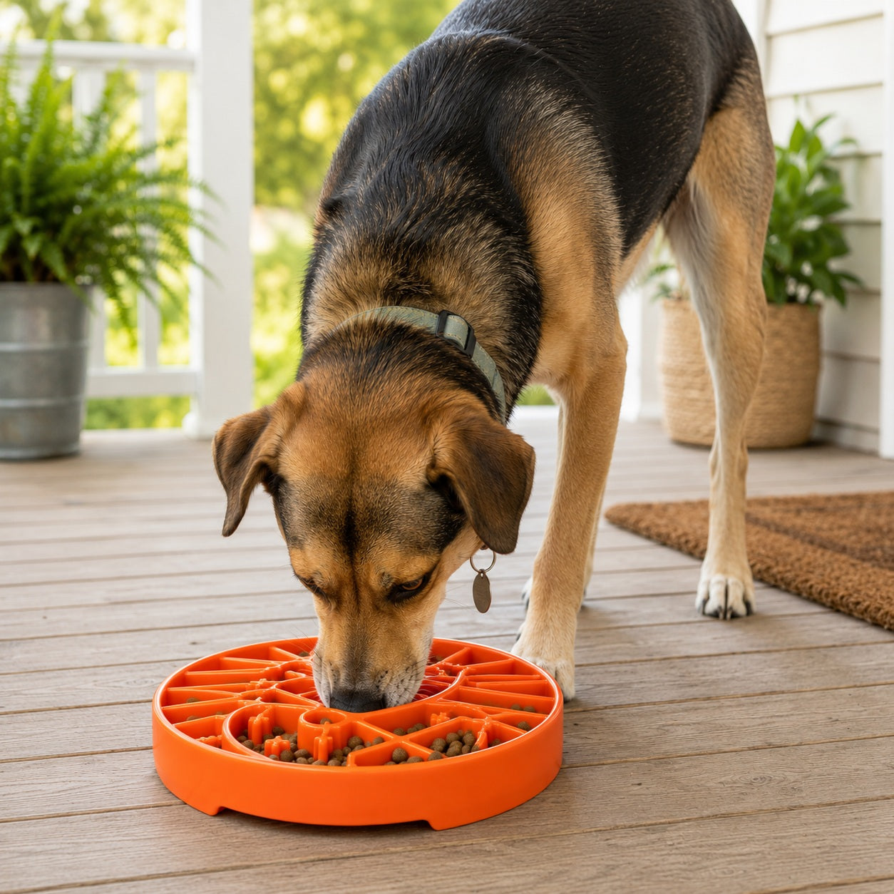 Pet Supply Product | The Finest Market