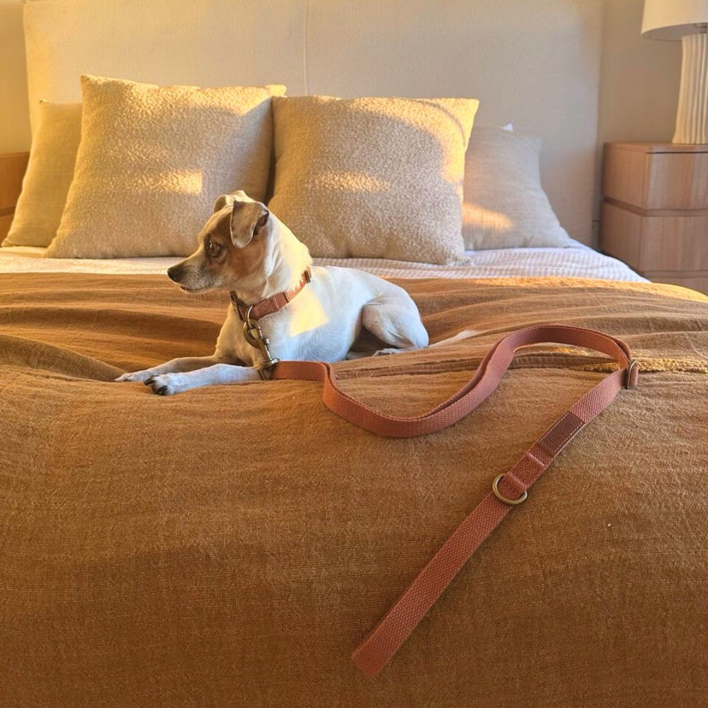 Tilley + Me Hemp Cotton Dog Leash - Durable, Sustainable, Adjustable, Lightweight & Soft- Joshua Tree