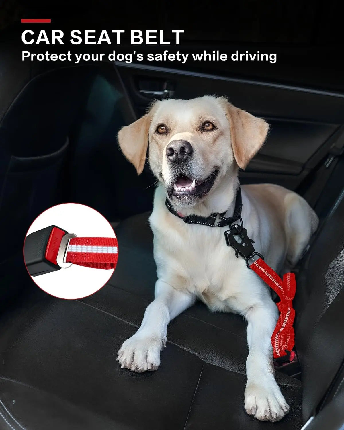 Tactical Dog Leash Heavy Duty, 4-6FT Shock Absorbing Bungee Lead with 2 Padded Handle, Metal Carabiner Clip, Car Seatbelt, Stron - Red | Purrfect Pet Kingdom