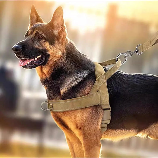 Dog Tactical Vest Nylon Outdoor Water-Repellent Dog Clothing Large and Medium-sized Dog Training Vest Harness Traction - Majestic Pet Kingdom