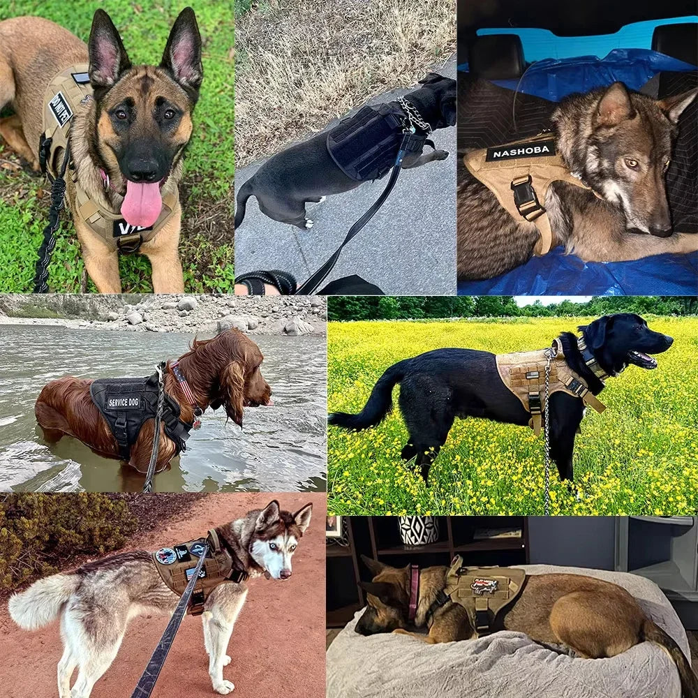 CANBOUN Tactical Military Vest Pet German Shepherd Golden Retriever Tactical Training Dog Harness And Leash Set For All Breeds D - CP 5 piece set | Purrfect Pet Kingdom