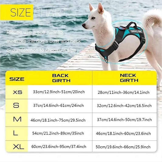 Dog Harness And Leash Set, Escape Proof No Pull Dog Vest Harness With Reflective Dog Walking Traction Rope - Majestic Pet Kingdom
