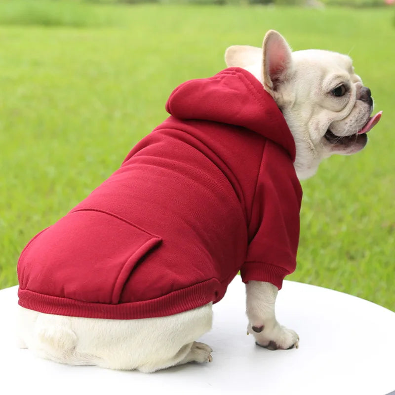 Pet Dog Clothes For Small Dogs Clothing Warm Clothing for Chihuahua Coat Puppy Outfit Pet Clothes for French Bulldog Hoodies - Orange | Purrfect Pet Kingdom