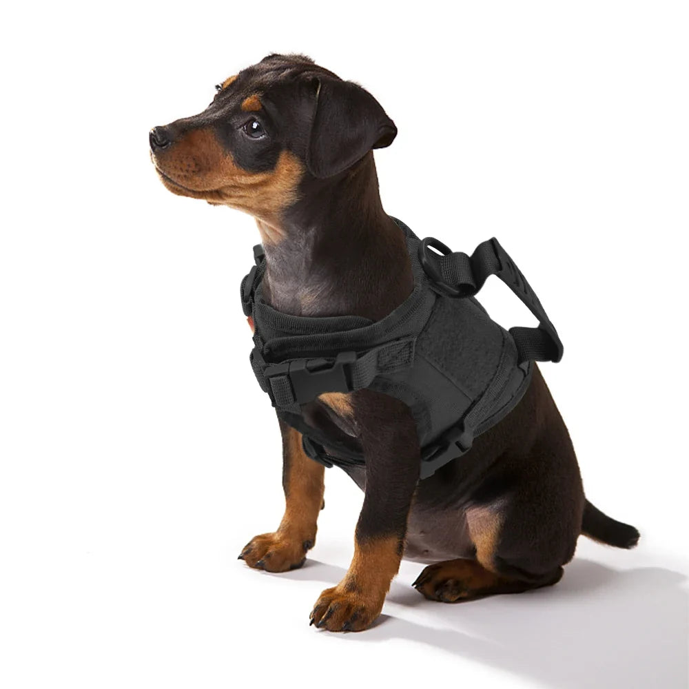 Tactical Small Dog Harness For Puppy Cats Adjustable Kitten Vest Harnesses For Military Dogs Working Training Walking Free Size | Purrfect Pet Kingdom