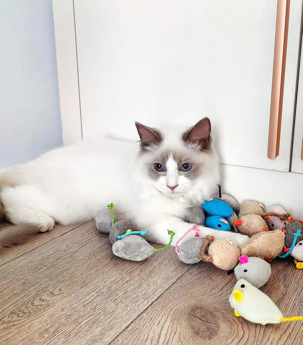 3/200pcs Rattle Cat Mouse Toys Also Prefilled Catnip Faux Fur Cat Mice Toys Interactive Cat Game Catnip Toys for Indoor Cats Toy - Majestic Pet Kingdom