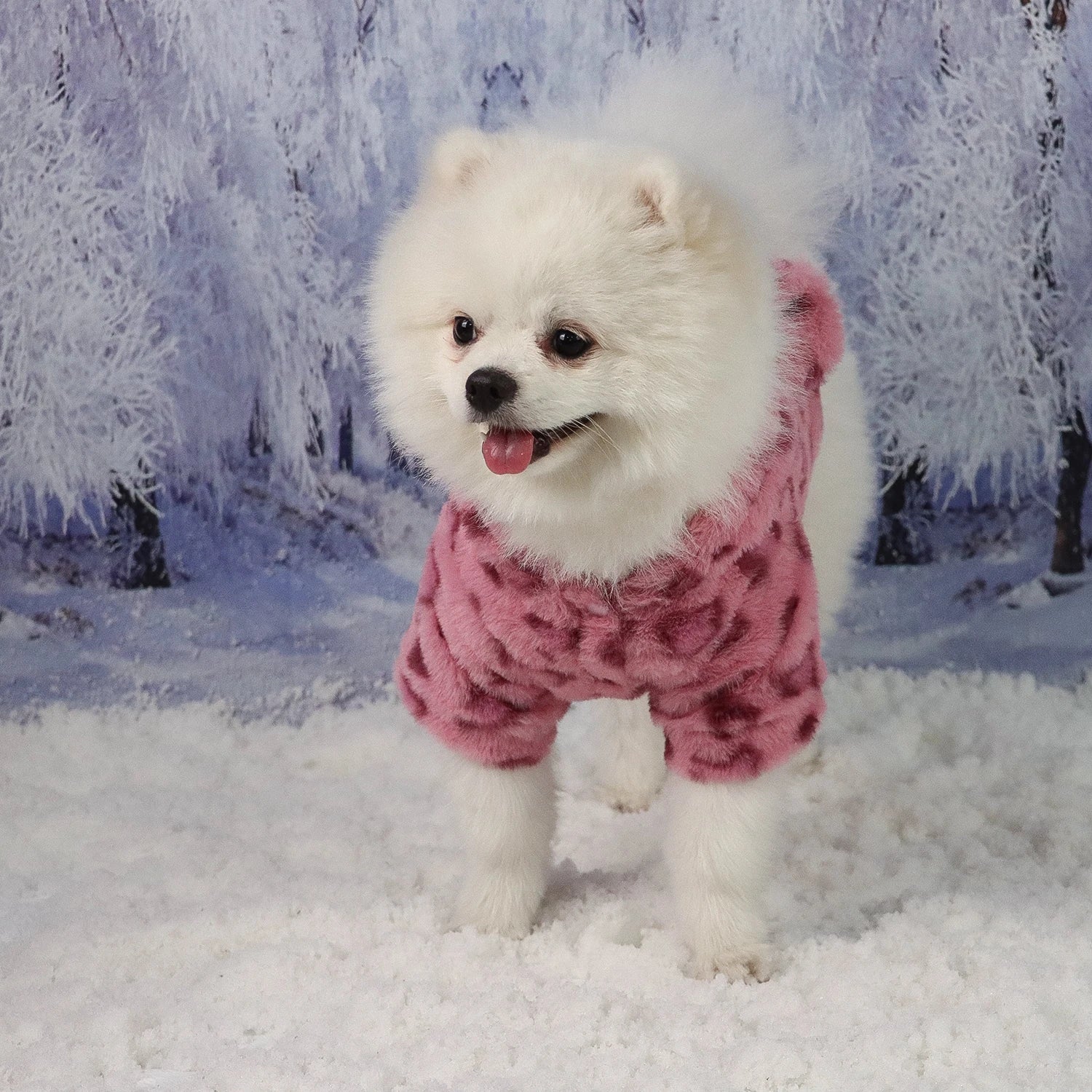 Pet Warm Clothes for Dog Cat Puppy Jacket with Lovely Ear Hat Fuzzy Coat Sweatshirt Dog Costume Outfits for Small Medium Dog fo - Majestic Pet Kingdom
