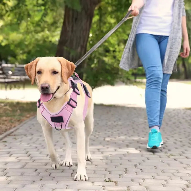 No Pull Dog Harness with Locator Silicone Protective Cover Anti slip Adjustable Pet Chest Harness for Medium & Large Dogs - Majestic Pet Kingdom