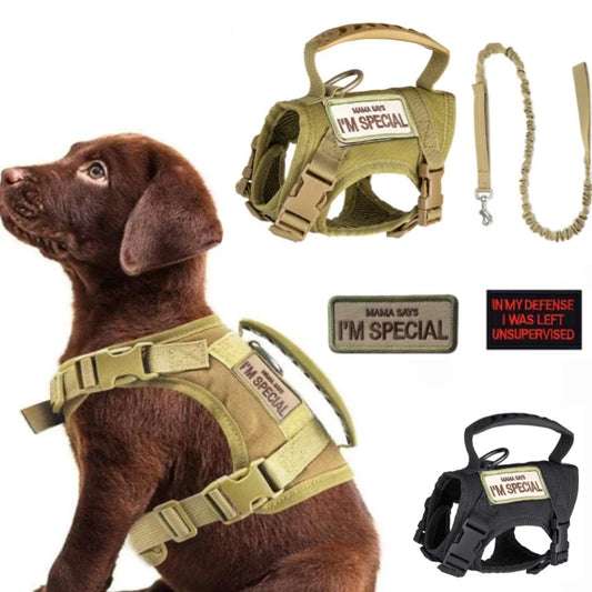 Dog Harness and Leash Set Easy Control Puppy Chest Strap - Main Feature View | Majestic Pet Kingdom