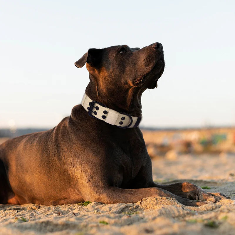 Tactical Dog Collar, Heavy Duty Nylon Dog Collar with Double Buckle, Adjustable Military Dog Collar for Medium Large Dogs - green | Purrfect Pet Kingdom