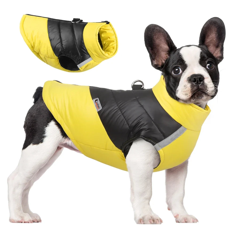 Winter Clothes for Dogs Warm Clothing Labrador Cotton Coat Harnesses | Majestic Pet Kingdom™