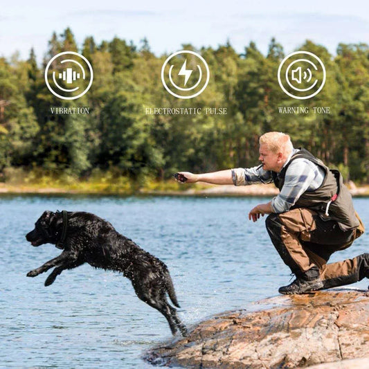Dog Training Collar Remote Automatic Bark Stopper Waterproof