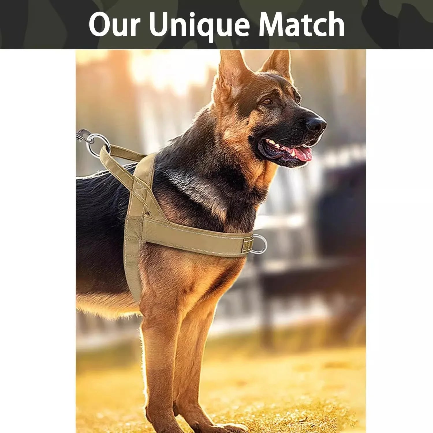 Dog Tactical Vest Nylon Outdoor Water-Repellent Dog Clothing Large and Medium-sized Dog Training Vest Harness Traction - Majestic Pet Kingdom