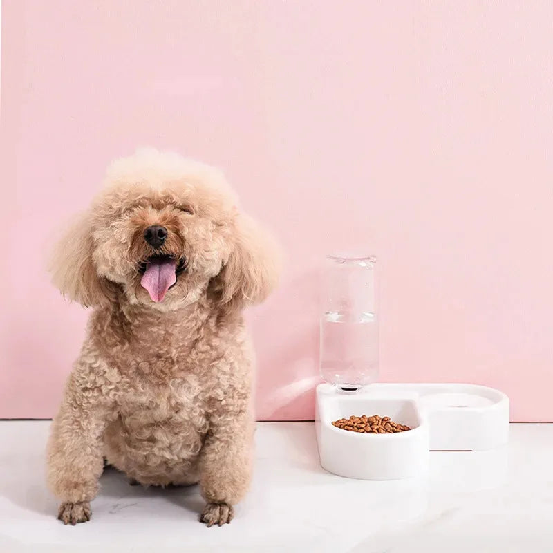 Pet Double Bowl Dog Bowl Cat Bowl Set Automatic Feeding and Drinking Bowl Anti-Tip Food Bowl for Small Dogs and Cats | Purrfect Pet Kingdom