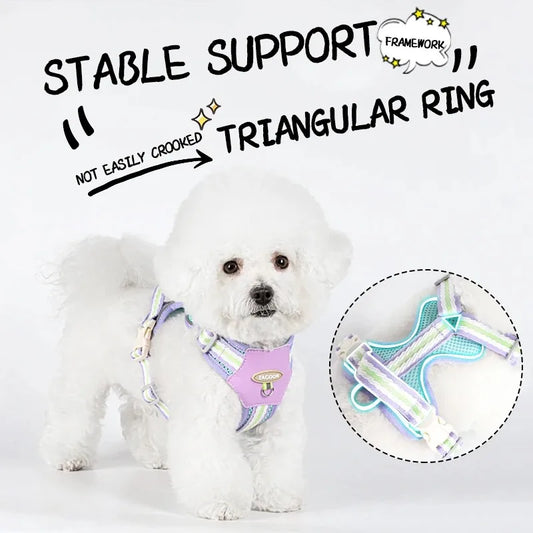 Dog Collars Leash Pet Collar Big Harness Tactical Vest Supplies Pets Dogs Things Small Accessories Cats Puppy Chest Products - Main Feature View | Majestic Pet Kingdom