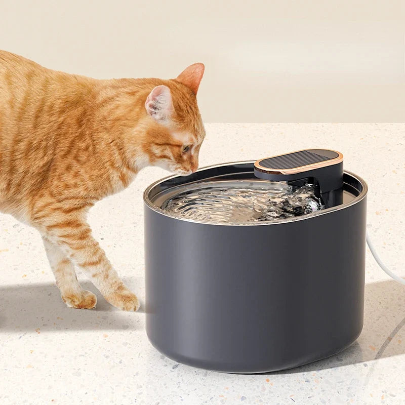 Large Capacity 3L Cat Water Fountain Automatic Recirculate Filtring Pet Fountain USB Electric Mute Cat Drinker Bowl Dispenser - Majestic Pet Kingdom