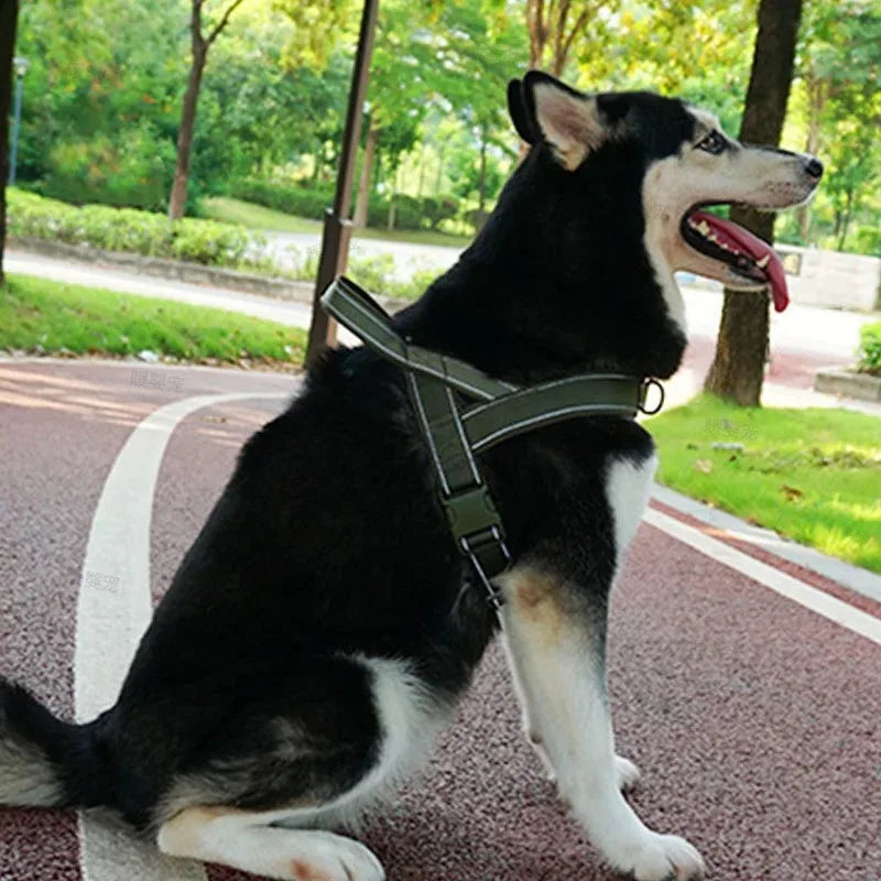 Outdoor Training Vest A7 Dog Traction Rope Dog Harness 1000D Nylon Adjustable Tactical Anti-Pull Dog Harness for Large Dogs - army green | Purrfect Pet Kingdom
