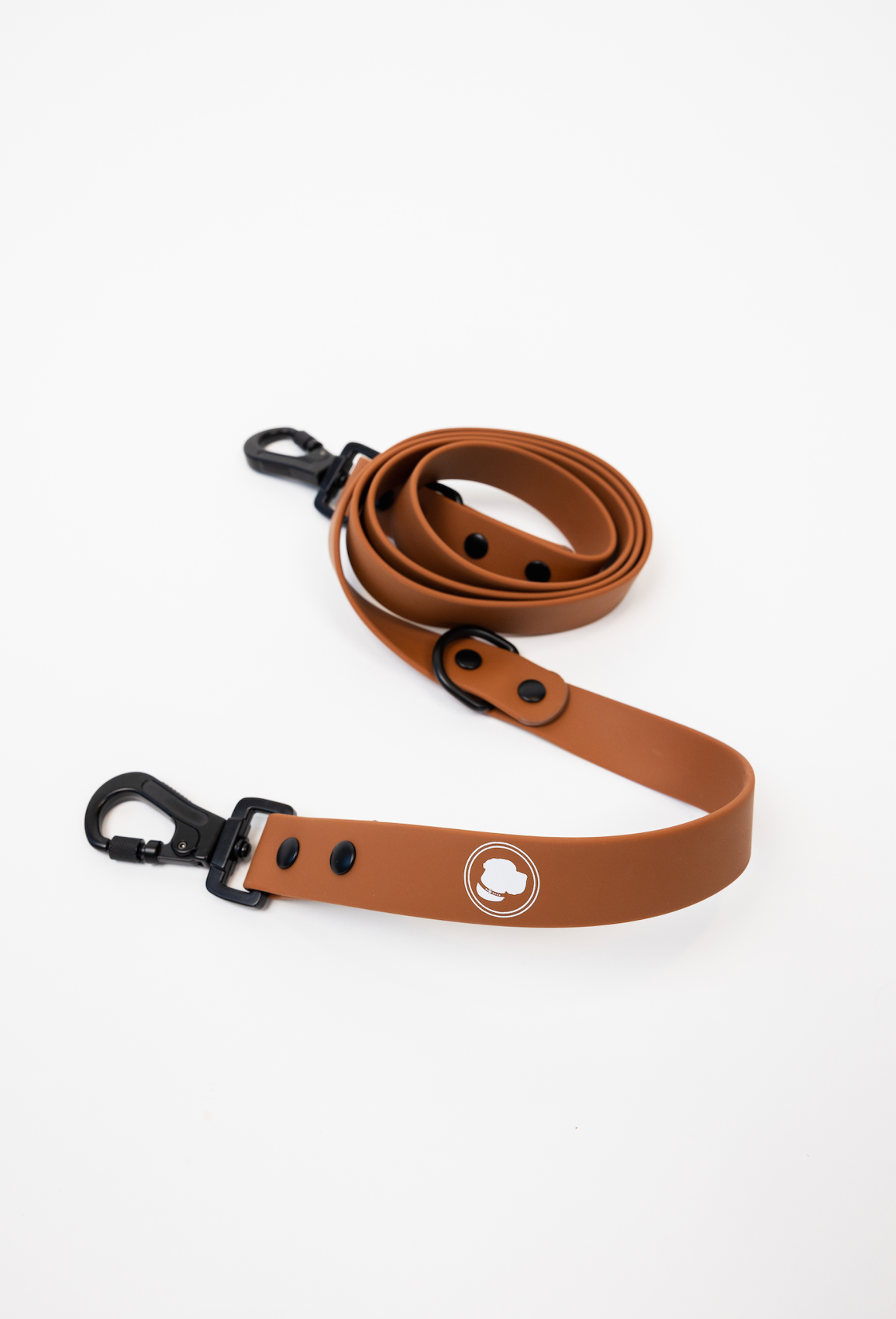 Coco Brown Adjustable Dog Leash – All-Weather, 54"