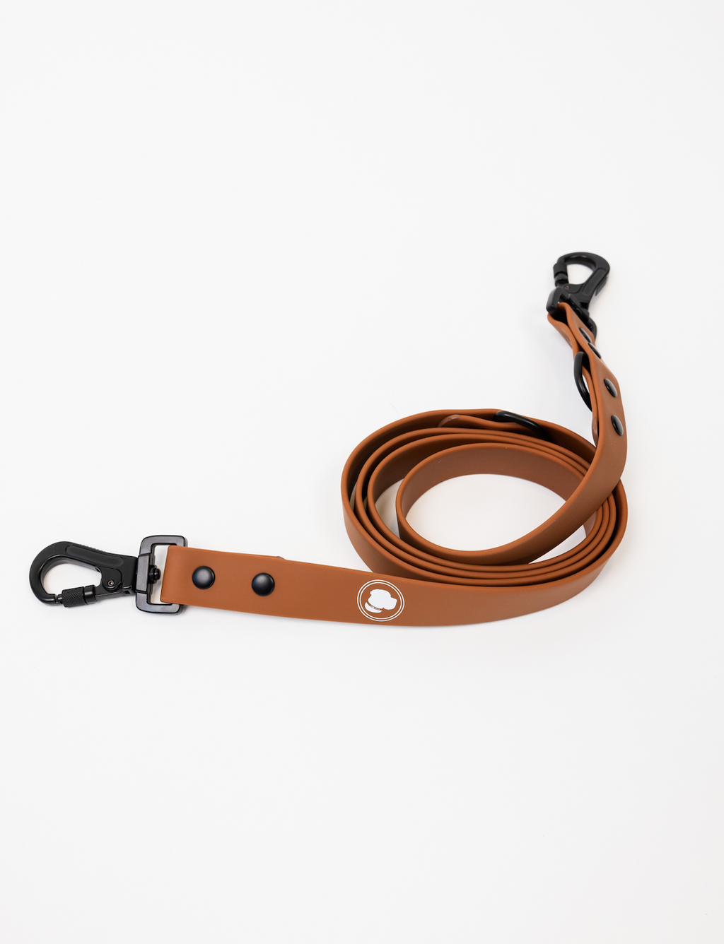 Coco Brown Adjustable Dog Leash – All-Weather, 54"