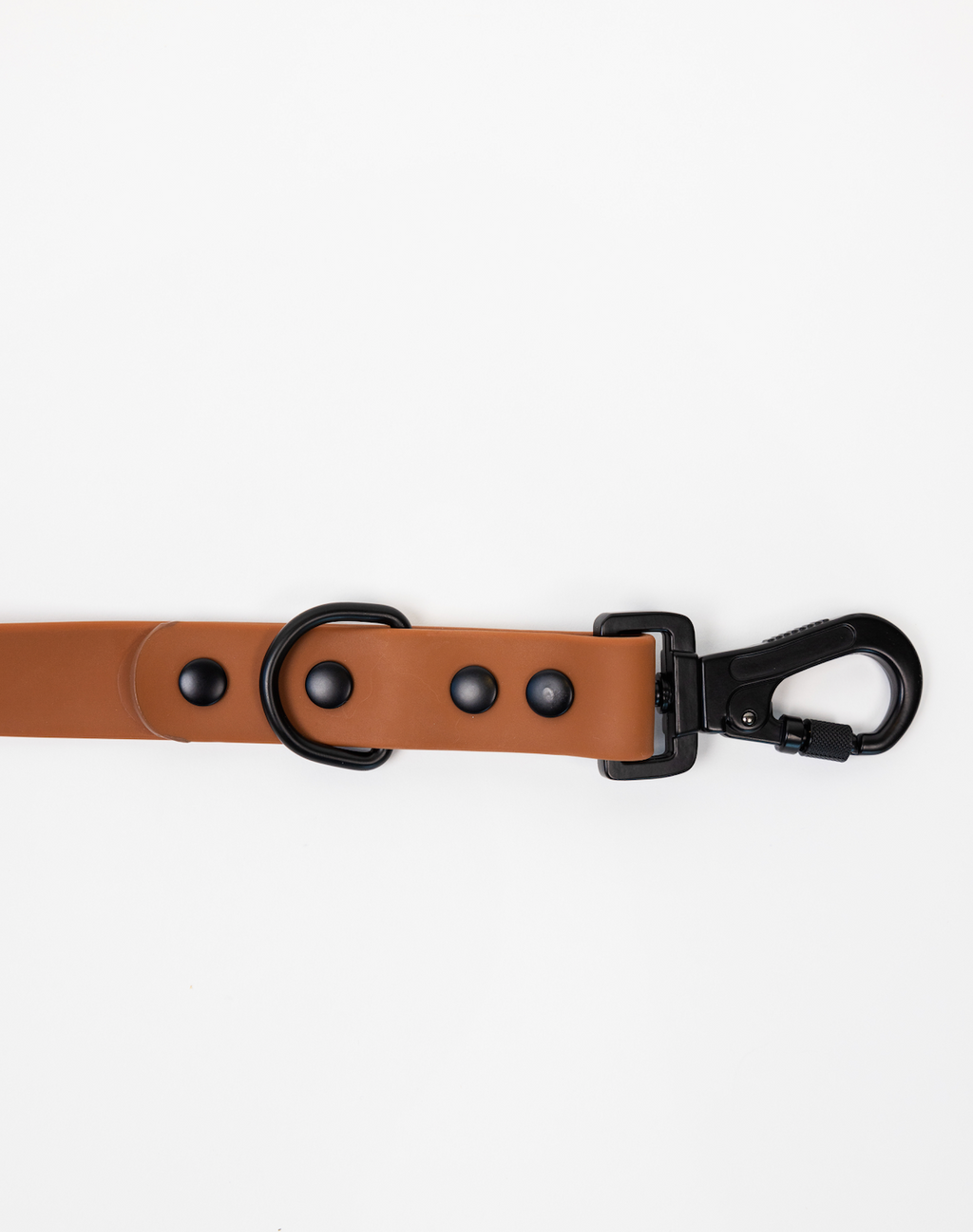 Coco Brown Adjustable Dog Leash – All-Weather, 54"