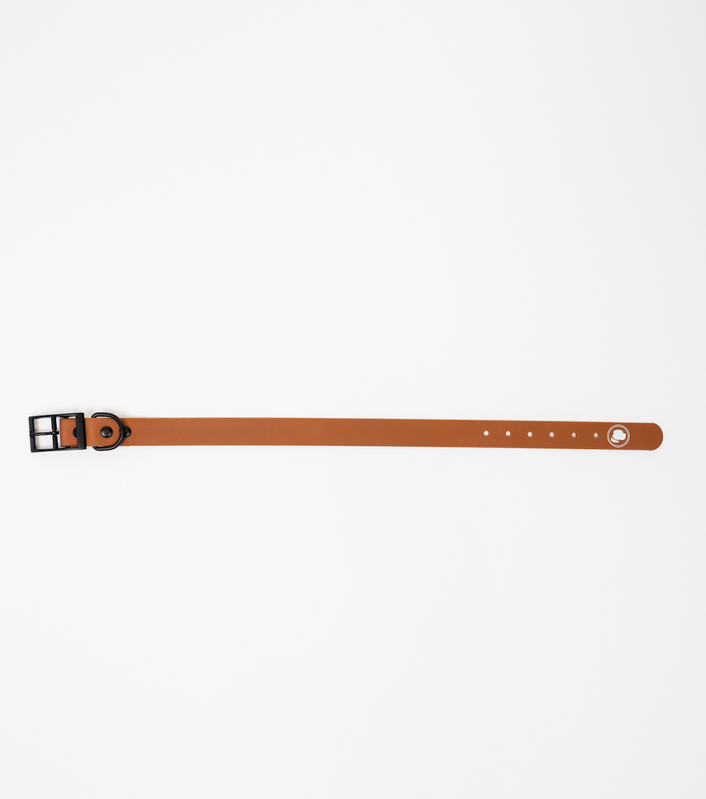 Coco Brown Dog Collar (Weather + Odor Resistant)