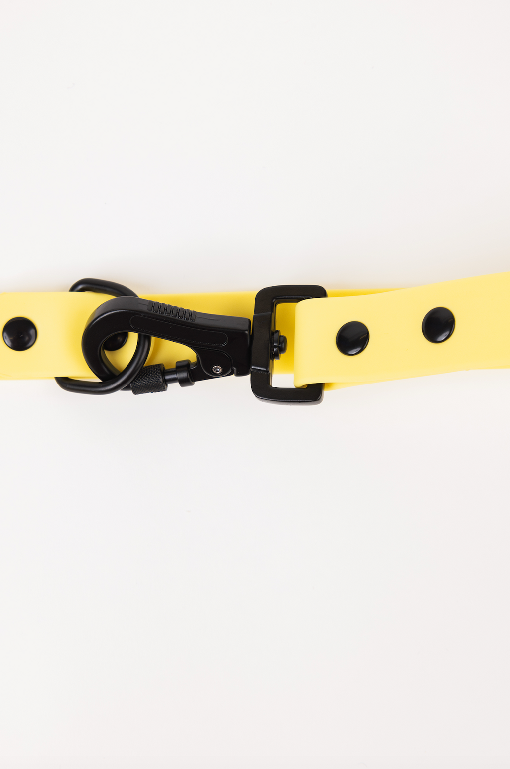 Daffodil Yellow Adjustable Dog Leash – All-Weather 54"