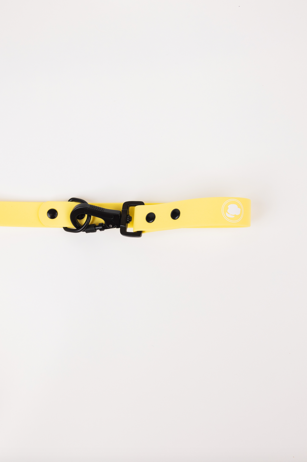 Daffodil Yellow Adjustable Dog Leash – All-Weather 54"