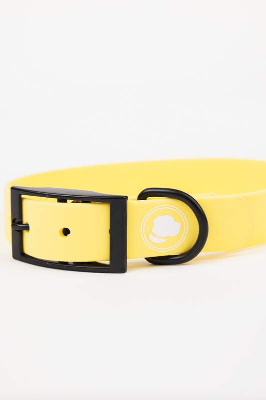 Daffodil Yellow Dog Collar – Weather & Odor Resistant