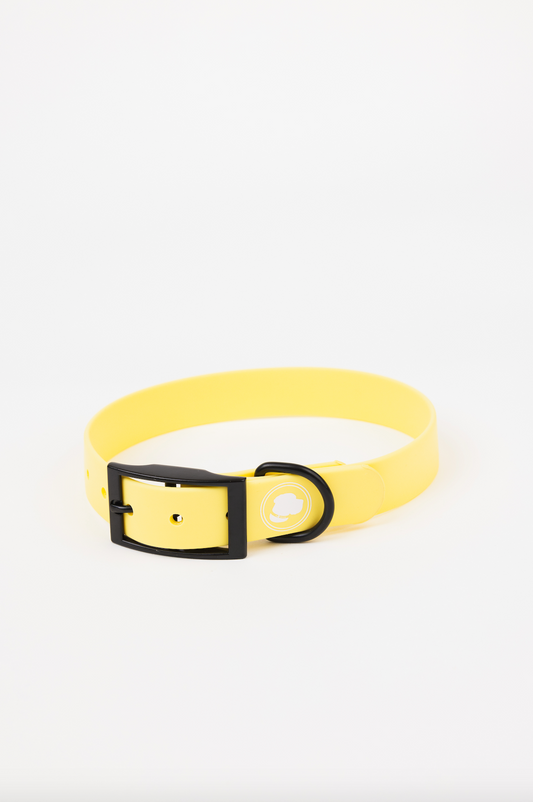 Daffodil Yellow Dog Collar – Weather & Odor Resistant