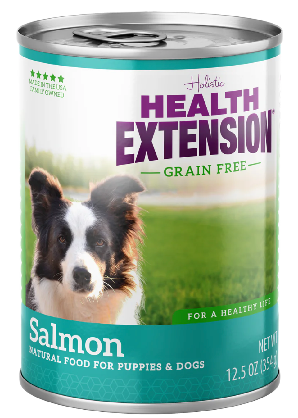 Health Extension All Life Stages Grain Free Salmon Dog Food (12.5oz) - Majestic Pet Kingdom