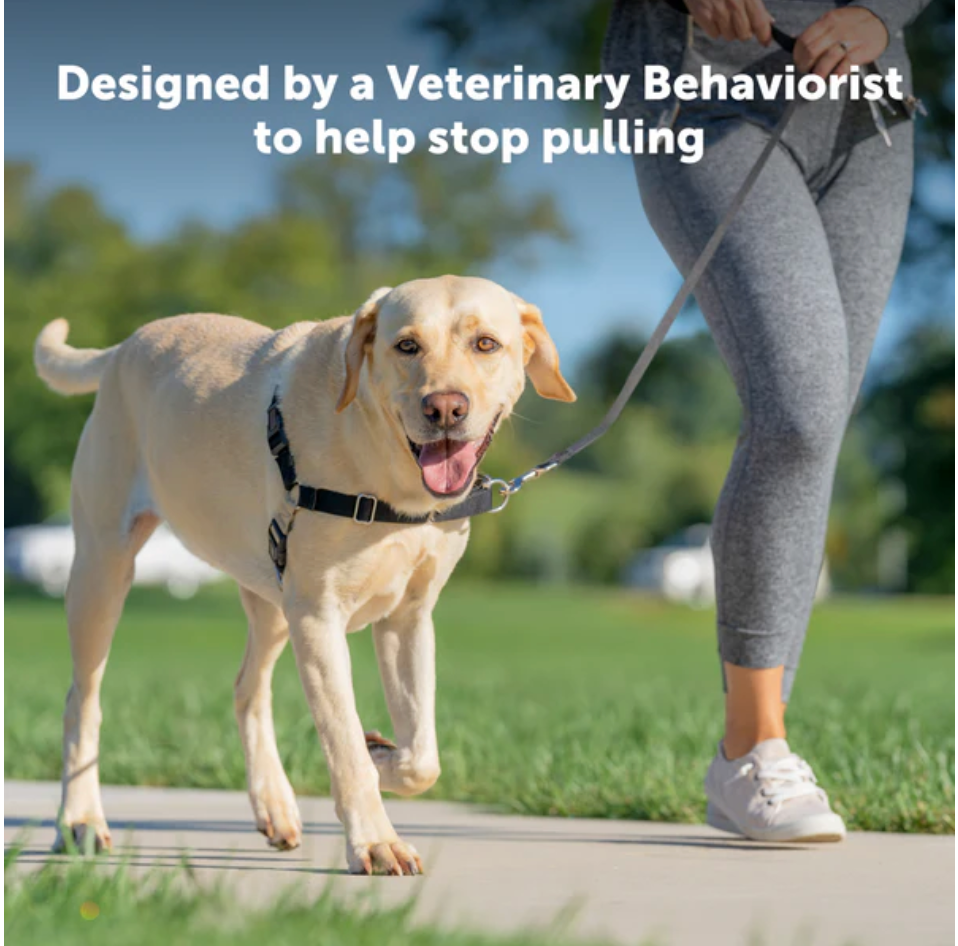 Dog Harness PetSafe Easy Walk No-Pull Walking Vest Black Small - Detail Angle 2 | Majestic Pet Kingdom