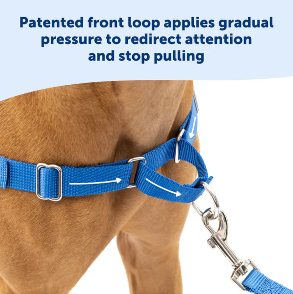 Dog Harness PetSafe Easy Walk No-Pull Walking Vest Black Small - Detail Angle 3 | Majestic Pet Kingdom