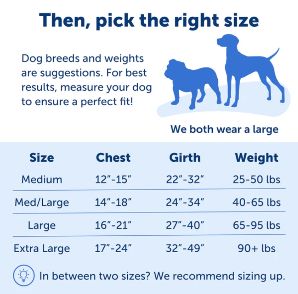 Dog Harness PetSafe Easy Walk No-Pull Padded Vest Black Large - Detail Angle 6 | Majestic Pet Kingdom