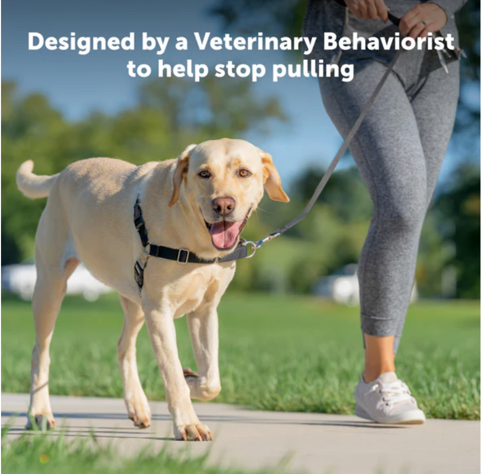 Dog Harness PetSafe Easy Walk No-Pull Padded Vest Black Large - Detail Angle 2 | Majestic Pet Kingdom
