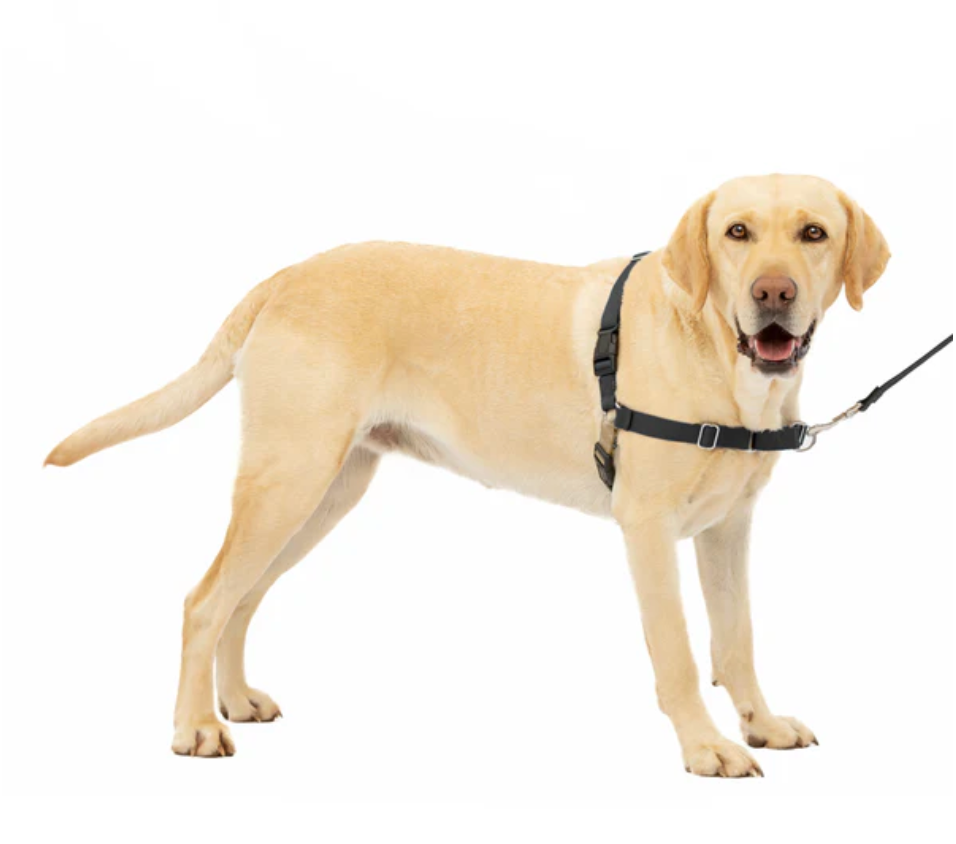Dog Harness PetSafe Easy Walk No-Pull Padded Vest Black Larg