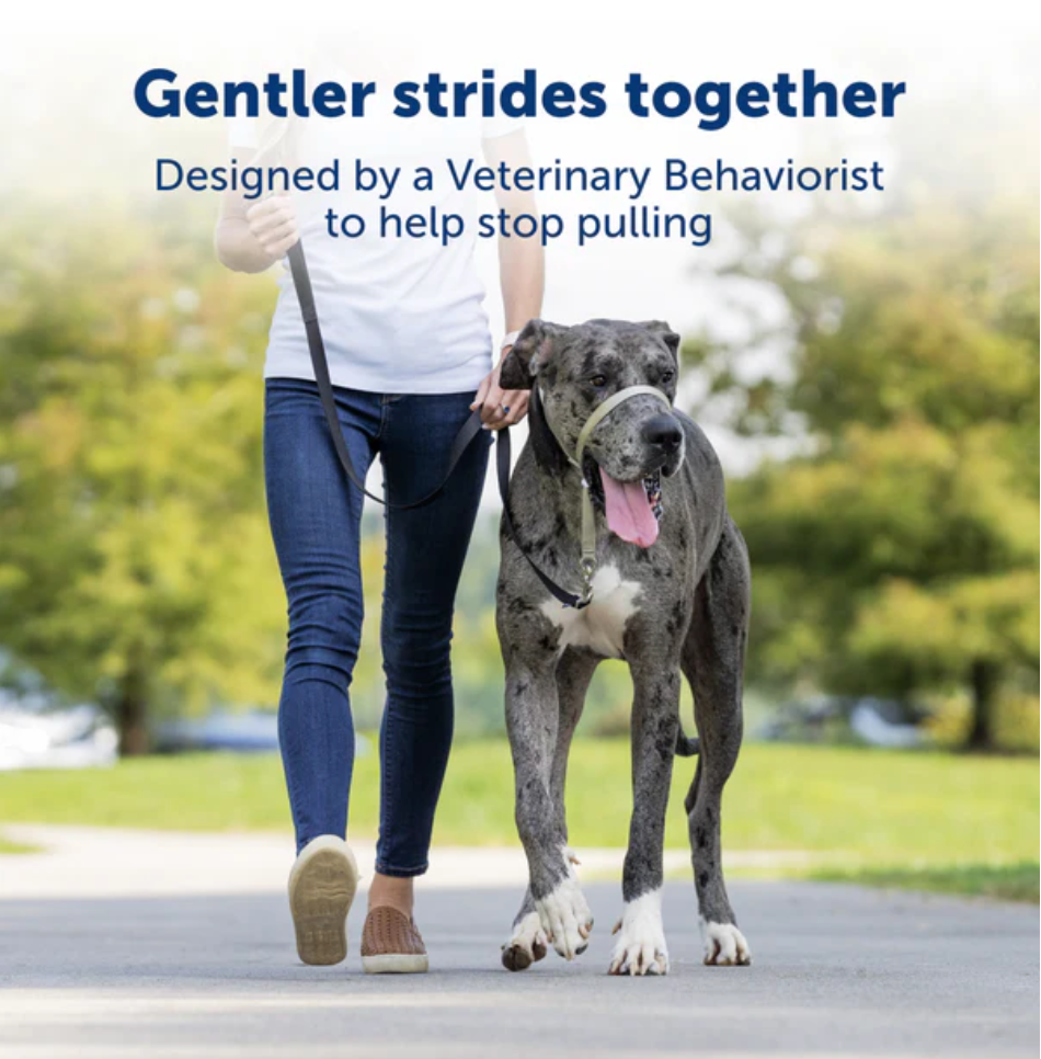 Dog Headcollar PetSafe Gentle Leader No-Pull Training Large