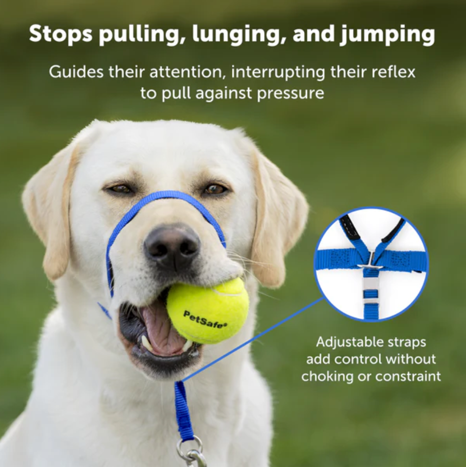Dog Headcollar PetSafe Gentle Leader No-Pull Training Large