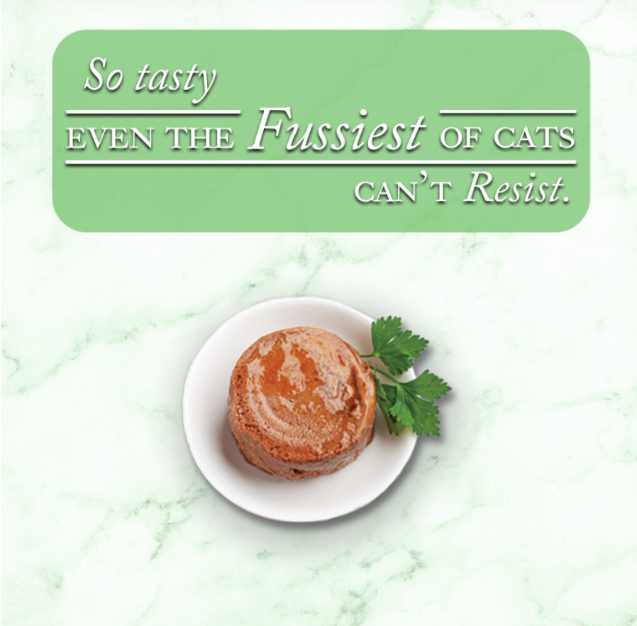 Fussie Cat Fine Dining - Pate - Oceanfish Entree in gravy (2.82oz) - Majestic Pet Kingdom