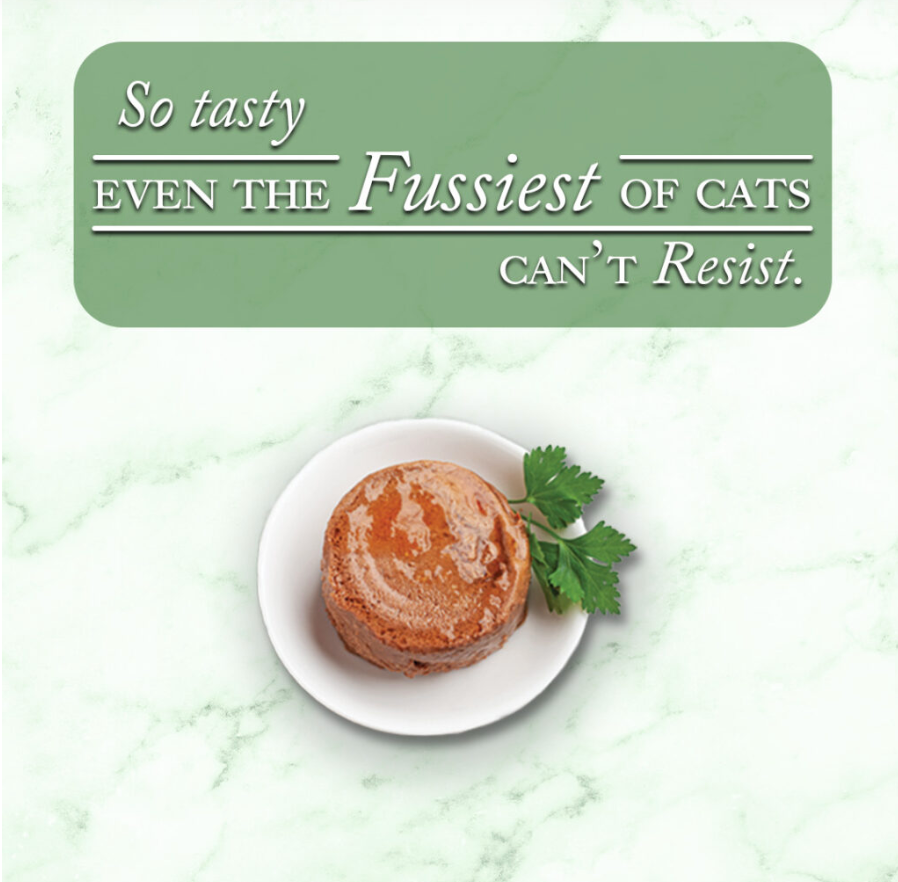 Fussie Cat Fine Dining - Pate - Oceanfish with Salmon Entree in gravy (2.82oz) - Majestic Pet Kingdom