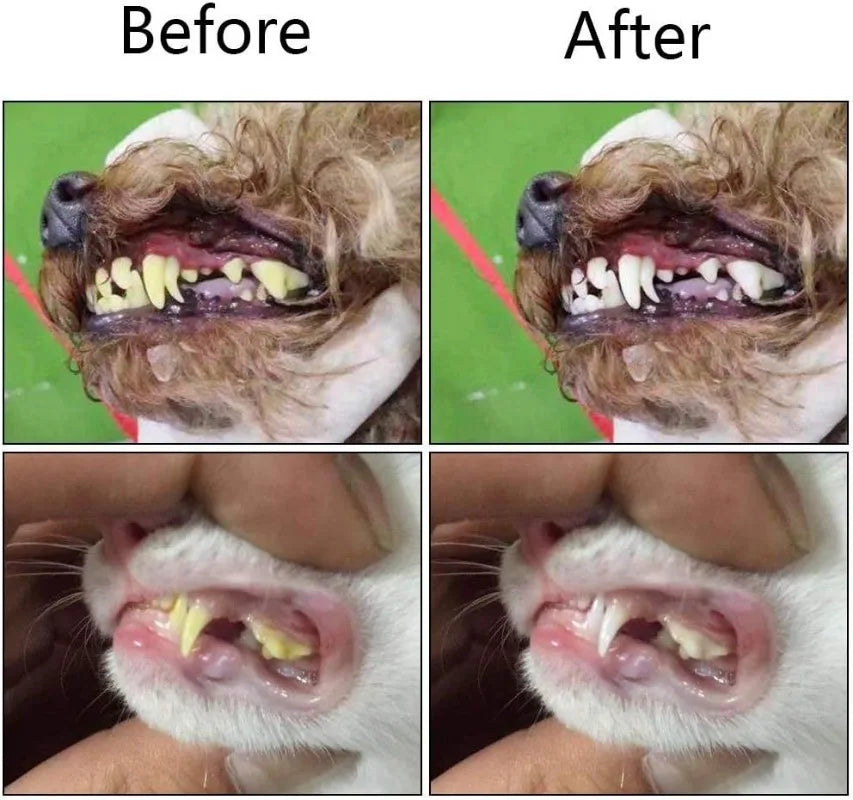 Dog Toothbrush Soft Silicone Finger Cuff Dental Cleaning Kit Tool - Detail Angle 5 | Majestic Pet Kingdom