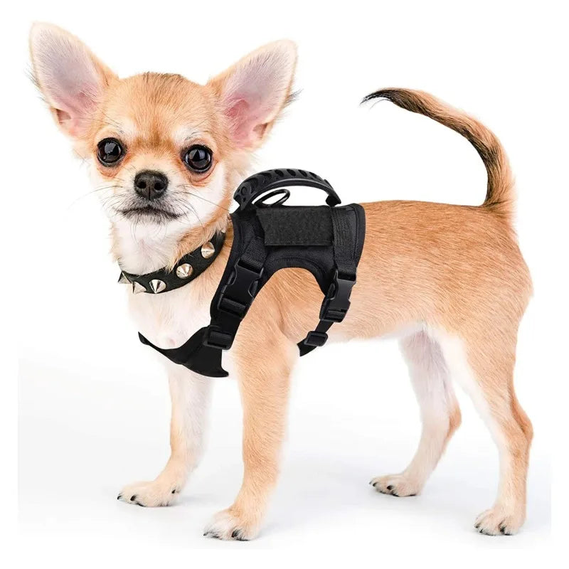 Tactical Small Dog Harness For Puppy Cats Adjustable Kitten Vest | Majestic Pet Kingdom™
