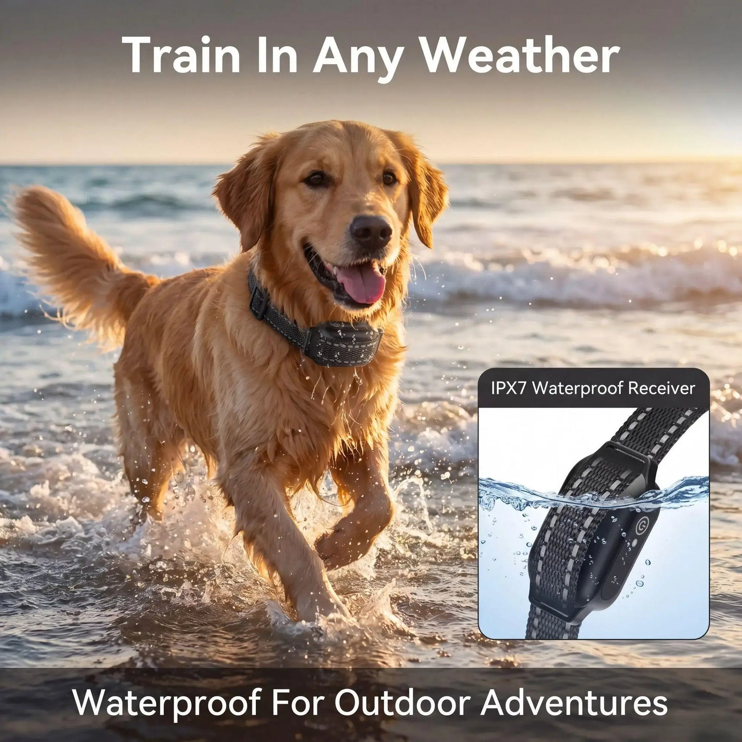 1000m Dog Training Collar Remote Control, Waterproof Rechargeable Dog