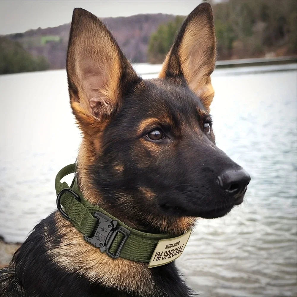 Heavy Duty Tactical Dog Collars with Handle Military Collar with Patch Outdoor Training and Walking for Medium and Large Dogs | Purrfect Pet Kingdom