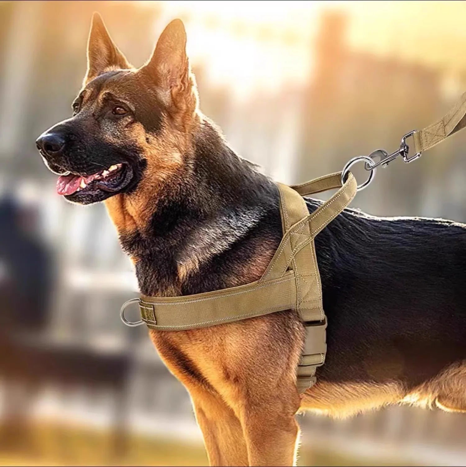 Dog Tactical Vest Nylon Outdoor Water-Repellent Dog Clothing Large and Medium-sized Dog Training Vest Harness Traction - Majestic Pet Kingdom