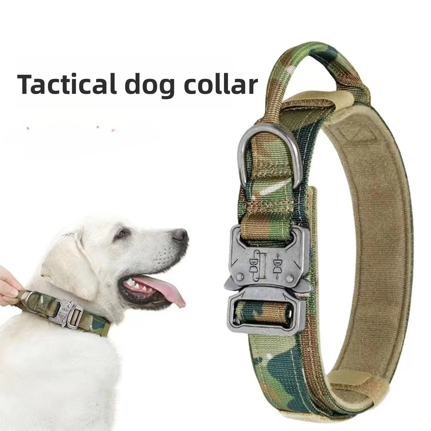 Pet Products Outdoor Tactical Dog Collar Metal Buckle Breathability Nylon Collar Medium and Large Dog Training Neck Collar Dog - blue | Purrfect Pet Kingdom