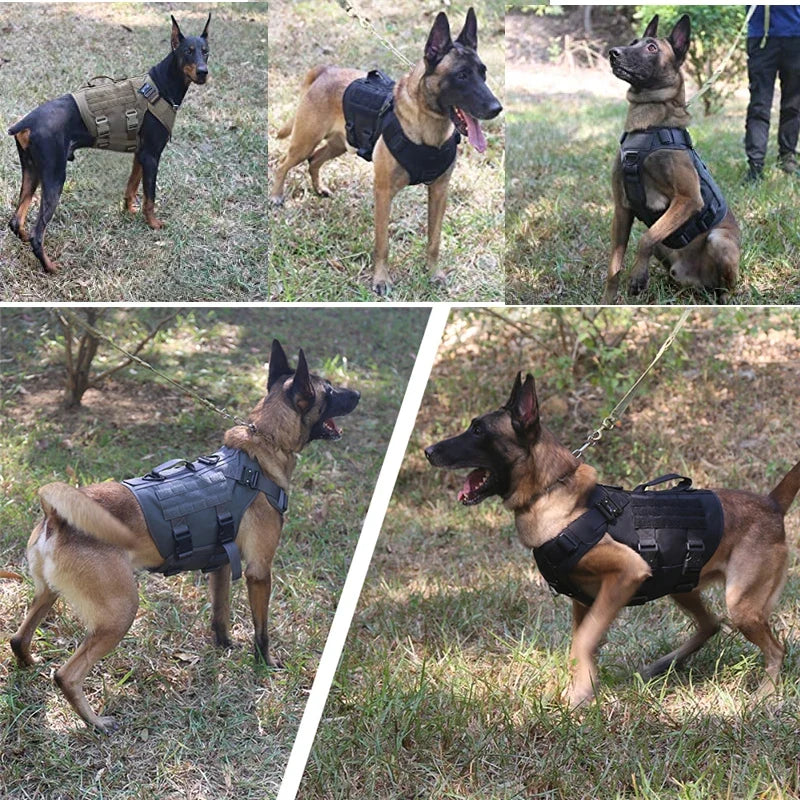 Tactical Military Vest Pet German Shepherd Golden Retriever Tactical  Training Dog Harness and Leash Set For All Breeds Dogs - Black 4 piece set | Purrfect Pet Kingdom