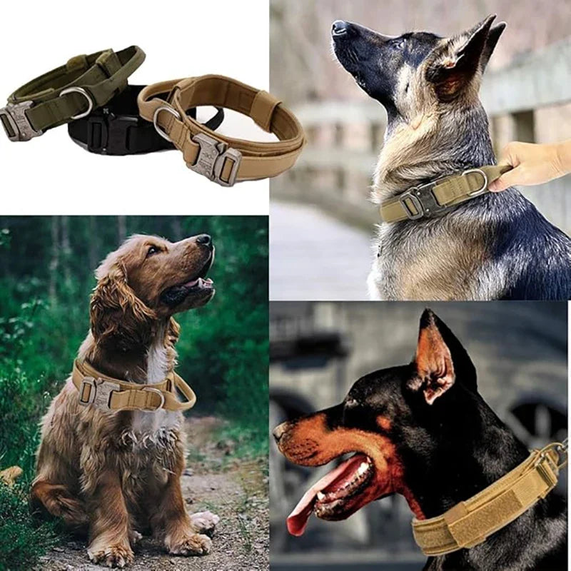 Tactical Dog Collar Adjustable Military Nylon Dog Collar with Control Handle and Heavy Duty Metal Buckle for Medium & Large Dog - L | Purrfect Pet Kingdom