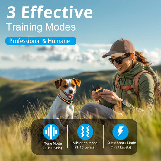 Dog Training Collar 1640Ft Waterproof Remote Shock Vibration