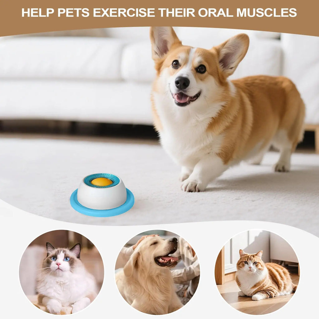 Luxury Pet Essentials - Purrfect Pet Kingdom™