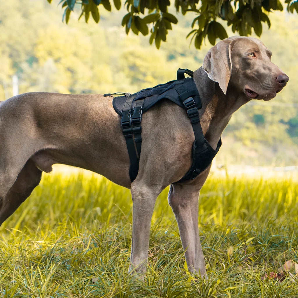 Tactical Chest Strap Large Dog Explosion proof Outdoor Anti slip Tank Top Pet Traction Dog Harness Reinforcement Loop Dog Walkin - Majestic Pet Kingdom