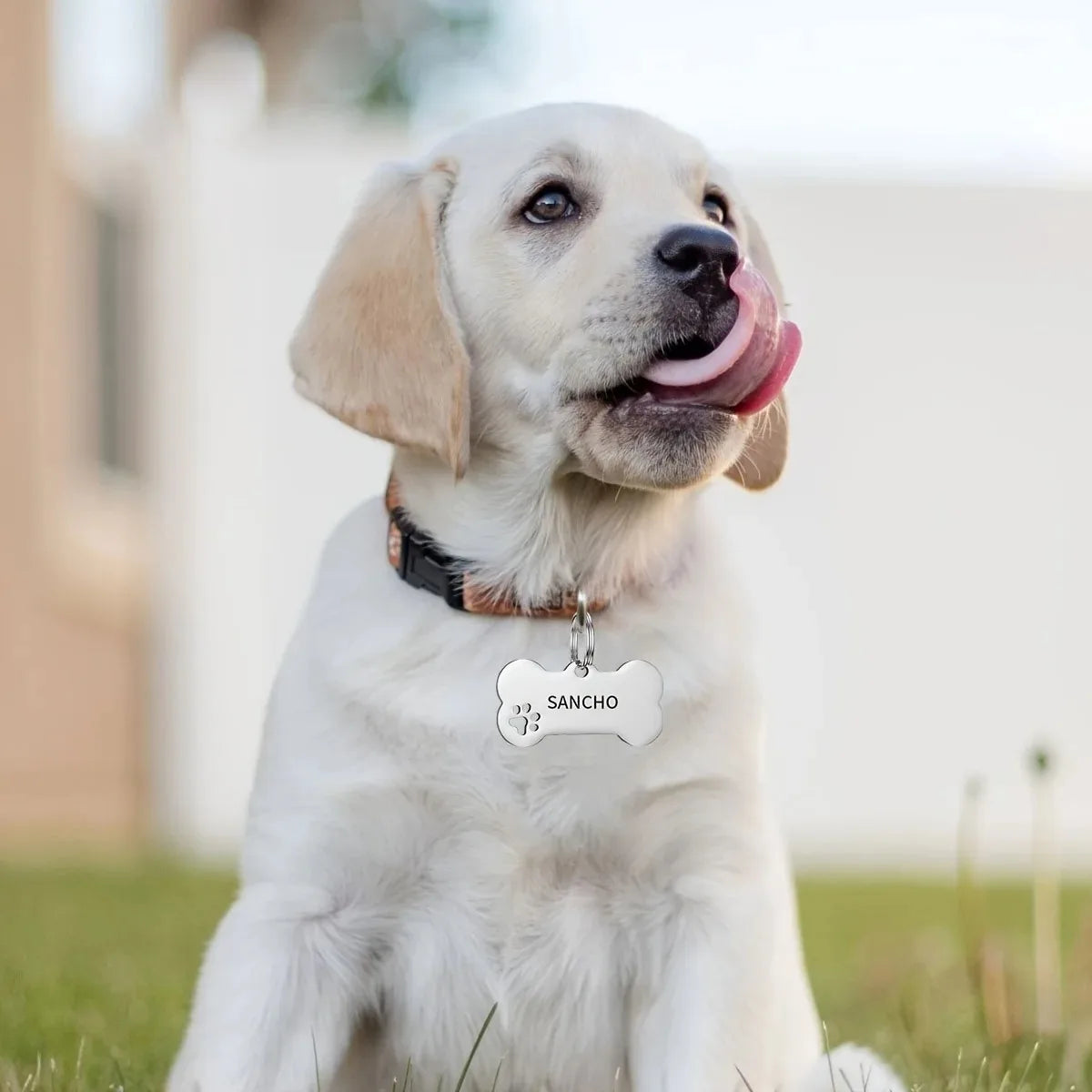 Dog ID Tag Personalized Custom Engraved Bone Metal Charm Pendant - Detail Angle 4 | Majestic Pet Kingdom